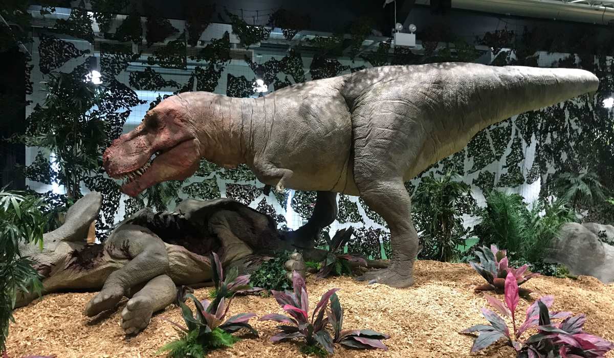 Animatronic dinosaurs brought to life with compressed air